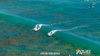 Listing image for 47 Baloo Crescent, Wannanup WA 6210