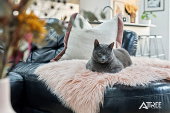 Listing image for 22 Berican Parade, Hilbert  WA  6112