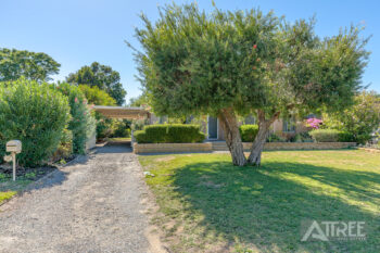 Listing image for 12 Watson Street, Gosnells  WA  6110
