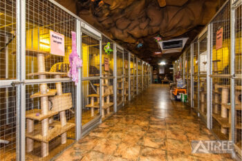 Listing image for 4 Crufts Way, Canning Vale  WA  6155