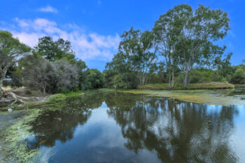 Listing image for 1/22 Swingler Way, Gosnells  WA  6110