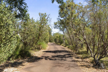 Listing image for 90 Robinson Road, Wandi  WA  6167