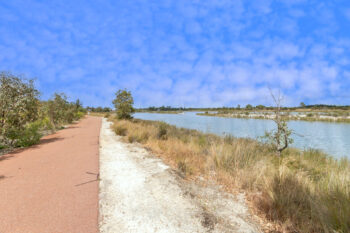 Listing image for 8 Langer Crescent, Champion Lakes  WA  6111