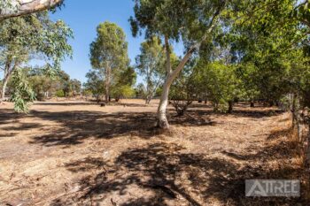 Listing image for 764 South Western Highway, Byford  WA  6122