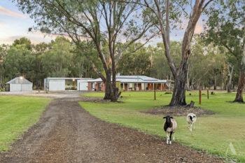 Listing image for 33 Stockmans Close, Oakford  WA  6121