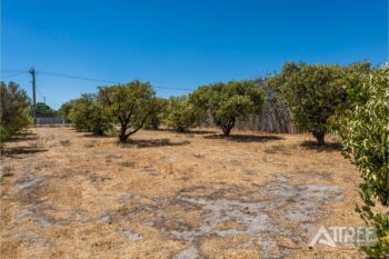 Listing image for 108 Fremantle Road, Gosnells  WA  6110