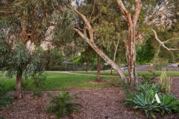 Listing image for 11 Gilman Court, Piara Waters  WA  6112