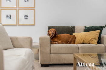 Listing image for 11 Holywell Street, Piara Waters  WA  6112