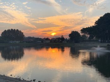 Listing image for 28 Roebuck Avenue, Canning Vale  WA  6155