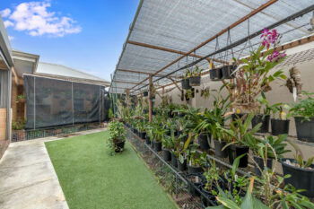 Listing image for 47 Brunonia Terrace, Harrisdale  WA  6112