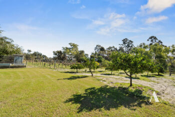 Listing image for 207 De Haer Road, Wandi  WA  6167