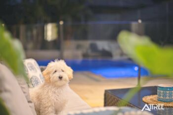 Listing image for 7 Schwartz Avenue, Harrisdale  WA  6112