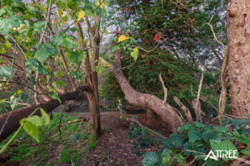 Listing image for 14A Page Road, Kelmscott  WA  6111