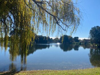 Listing image for 28 Roebuck Avenue, Canning Vale  WA  6155