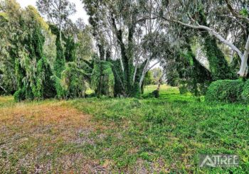 Listing image for 6/11 Carnation Street, Canning Vale  WA  6155