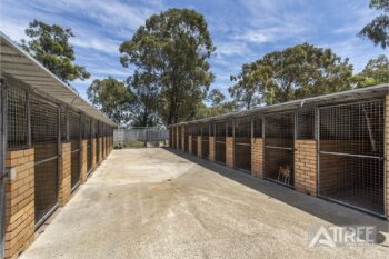 Listing image for 203 Cormorant Court, Southern River  WA  6110