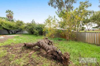 Listing image for 22 Blanche Street, Gosnells  WA  6110
