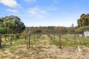 Listing image for 207 De Haer Road, Wandi  WA  6167