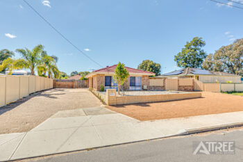 Listing image for 20 Fortunella Grove, Seville Grove  WA  6112
