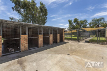 Listing image for 203 Cormorant Court, Southern River  WA  6110