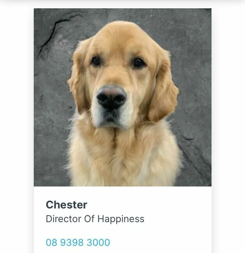 Image for HAPPY FURBABY FRIDAYS