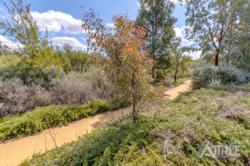 Listing image for 8 Grapestone Road, Piara Waters  WA  6112