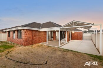 Listing image for 19 Brolga Grove, Seville Grove  WA  6112