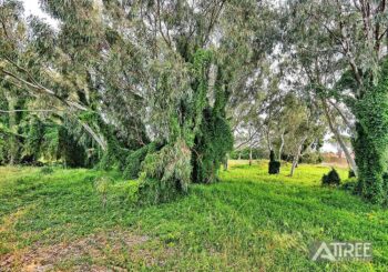 Listing image for 6/11 Carnation Street, Canning Vale  WA  6155