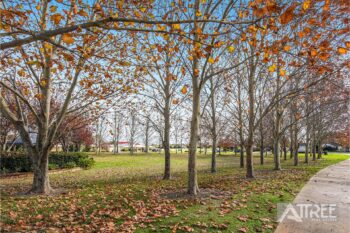 Listing image for 16 Fimister Parkway, Canning Vale  WA  6155