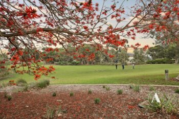 Listing image for 28 Fernhill Promenade, Harrisdale  WA  6112