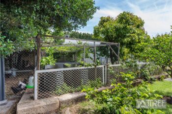 Listing image for 25 Ashmore Avenue, Canning Vale  WA  6155